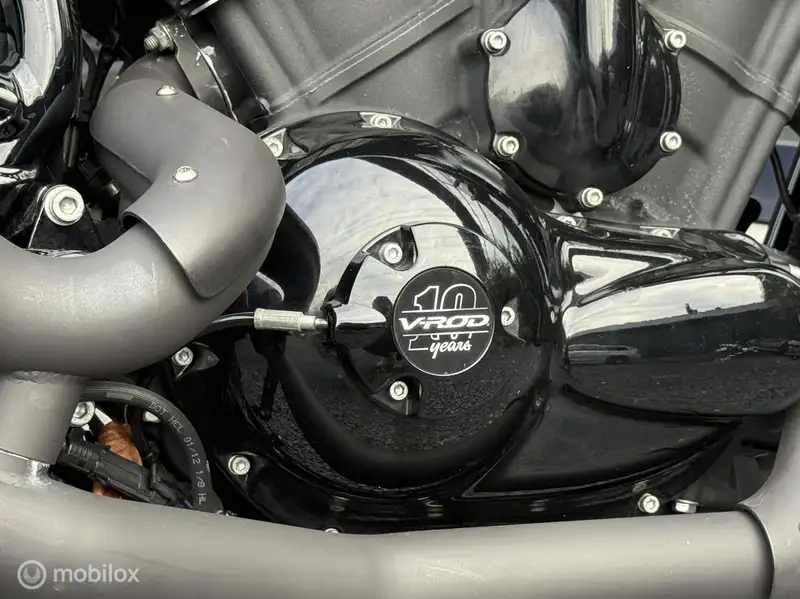 Harley-Davidson Night Rod - foto 4