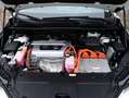 Lexus NX 300h AWD President Line | Mark Levinson | Panoramadak | Wit - thumbnail 40