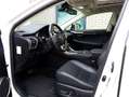 Lexus NX 300h AWD President Line | Mark Levinson | Panoramadak | Wit - thumbnail 3
