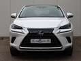 Lexus NX 300h AWD President Line | Mark Levinson | Panoramadak | Wit - thumbnail 2