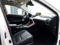 Lexus NX 300h AWD President Line | Mark Levinson | Panoramadak | Wit - thumbnail 11