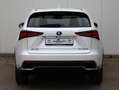 Lexus NX 300h AWD President Line | Mark Levinson | Panoramadak | Wit - thumbnail 4