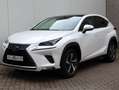 Lexus NX 300h AWD President Line | Mark Levinson | Panoramadak | Wit - thumbnail 39