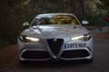 Alfa Romeo Giulia 2.9 T Quadrifoglio Aut. 510 Gris - thumbnail 14