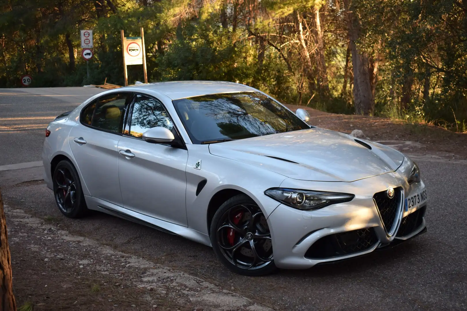 Alfa Romeo Giulia 2.9 T Quadrifoglio Aut. 510 Gris - 1