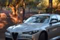 Alfa Romeo Giulia 2.9 T Quadrifoglio Aut. 510 Gris - thumbnail 8