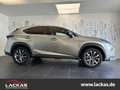 Lexus NX 200t AWD*F-SPORT-ANHÄNGERKUPPLUNG Stříbrná - thumbnail 6