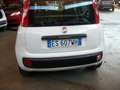 Fiat Panda Panda III 2012 1.3 mjt 16v Lounge 75cv Blanco - thumbnail 6
