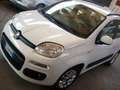 Fiat Panda Panda III 2012 1.3 mjt 16v Lounge 75cv Blanco - thumbnail 3