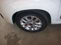 Fiat Panda Panda III 2012 1.3 mjt 16v Lounge 75cv Blanco - thumbnail 7