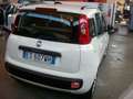 Fiat Panda Panda III 2012 1.3 mjt 16v Lounge 75cv Blanco - thumbnail 5