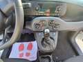 Fiat Panda 1.2 Easy S&S ED6 TEMP Weiß - thumbnail 15