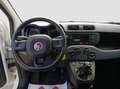 Fiat Panda 1.2 Easy S&S ED6 TEMP Blanc - thumbnail 14