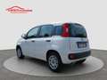 Fiat Panda 1.2 Easy S&S ED6 TEMP Blanc - thumbnail 3