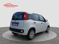 Fiat Panda 1.2 Easy S&S ED6 TEMP Blanc - thumbnail 4