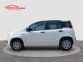 Fiat Panda 1.2 Easy S&S ED6 TEMP Blanc - thumbnail 5