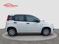Fiat Panda 1.2 Easy S&S ED6 TEMP Blanc - thumbnail 6