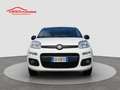 Fiat Panda 1.2 Easy S&S ED6 TEMP Blanc - thumbnail 7