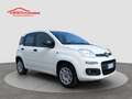 Fiat Panda 1.2 Easy S&S ED6 TEMP Blanc - thumbnail 2