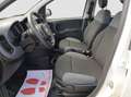 Fiat Panda 1.2 Easy S&S ED6 TEMP Blanc - thumbnail 9