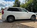 Volvo XC90 XC90 D5 AWD Momentum Weiß - thumbnail 1