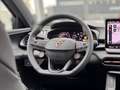 CUPRA Terramar VZ 2.0 TSI 4DRIVE DSG LED KLIMA NAVI SHZ PANO Grijs - thumbnail 15