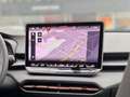 CUPRA Terramar VZ 2.0 TSI 4DRIVE DSG LED KLIMA NAVI SHZ PANO Grijs - thumbnail 19