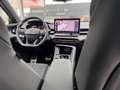 CUPRA Terramar VZ 2.0 TSI 4DRIVE DSG LED KLIMA NAVI SHZ PANO Grijs - thumbnail 20