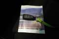 Ford Puma 1.0 EcoBoost ST-Line/Navi/Virtual/LED Schwarz - thumbnail 19