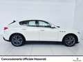 Maserati Levante 3.0 v6 250cv auto Bianco - thumbnail 6