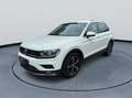 Volkswagen Tiguan Highline BMT* ACC*LED*SPURH.*SHZ* Weiß - thumbnail 3