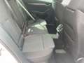 Skoda Octavia Combi 2.0 TDI DSG Style* Navi*AHK*Keyles Weiß - thumbnail 16