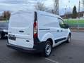 Ford Transit Connect Regalsystem AHK Zahnriemen Neu Alb - thumbnail 6