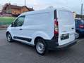 Ford Transit Connect Regalsystem AHK Zahnriemen Neu Alb - thumbnail 4