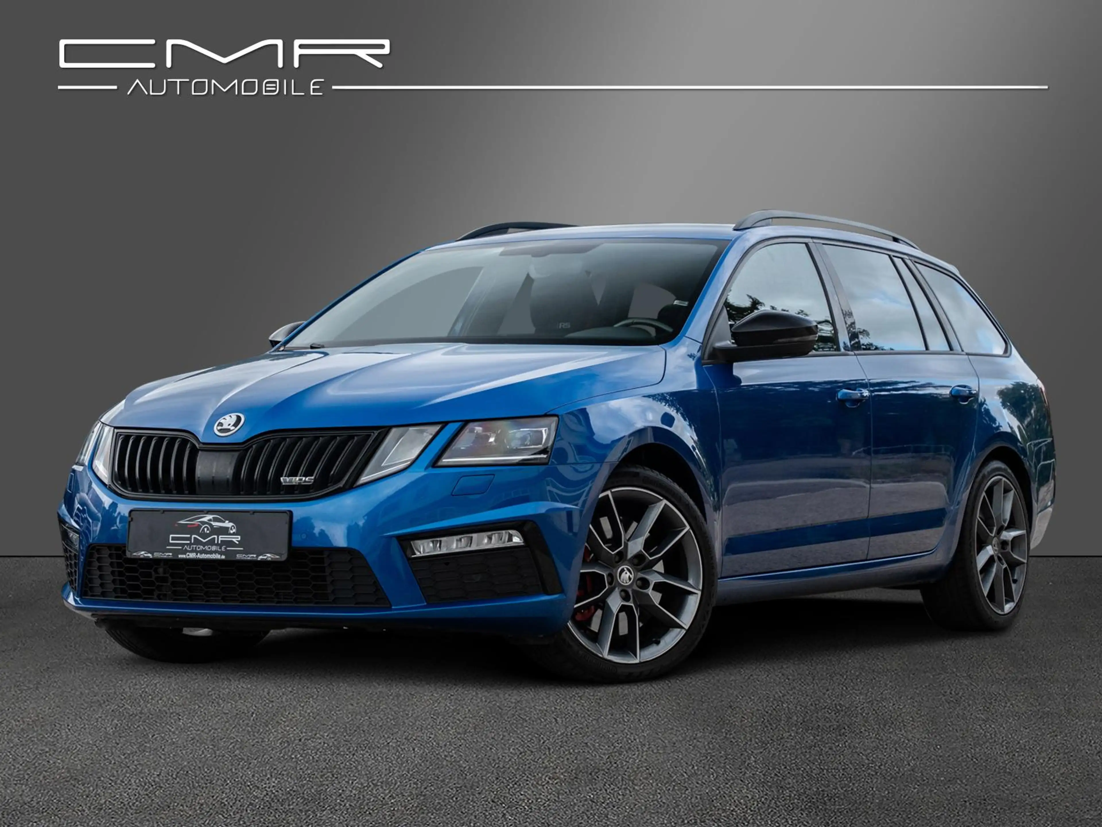 Skoda Octavia RS Business-Paket Amundsen AHK Chrom-P.