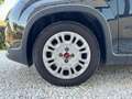 Fiat Panda 1.0 FireFly Hybrid 70cv MT6 S&S - OK Neopatentati Negro - thumbnail 15