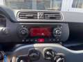 Fiat New Panda 1.2  Easy Nero - thumbnail 15