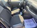 Fiat New Panda 1.2  Easy Nero - thumbnail 11
