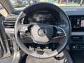Skoda Kamiq Kamiq 1.0 TSI 115 CV Black Dots Grigio - thumbnail 14