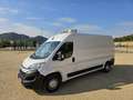 Citroen Jumper Club Ft 350 L3H2 2.2 Blue hdi 140 frigorifique Blanco - thumbnail 1