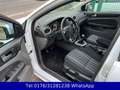 Ford Focus Turnier 1.6 !!  Klima !! Tüv !! Blanc - thumbnail 11