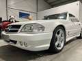 Mercedes-Benz SL 600 Roadster Aut. *ORIG.AMG PAKET* Beyaz - thumbnail 5