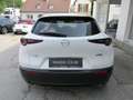 Mazda CX-30 X180 AWD 100 Years Aut. Weiß - thumbnail 5