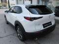 Mazda CX-30 X180 AWD 100 Years Aut. Weiß - thumbnail 6