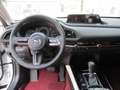 Mazda CX-30 X180 AWD 100 Years Aut. Weiß - thumbnail 19