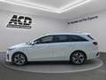 Kia Ceed SW / cee'd SW CEED SW 1.6 PHEV DCT6 PLATINUM *AHK Weiß - thumbnail 2