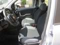Fiat Panda 1.2 Easy GPL (ok anche neopatentati) Gris - thumbnail 12
