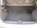 Fiat Panda 1.2 Easy GPL (ok anche neopatentati) Gris - thumbnail 13
