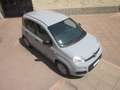 Fiat Panda 1.2 Easy GPL (ok anche neopatentati) Gris - thumbnail 5