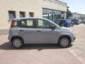 Fiat Panda 1.2 Easy GPL (ok anche neopatentati) Gris - thumbnail 4